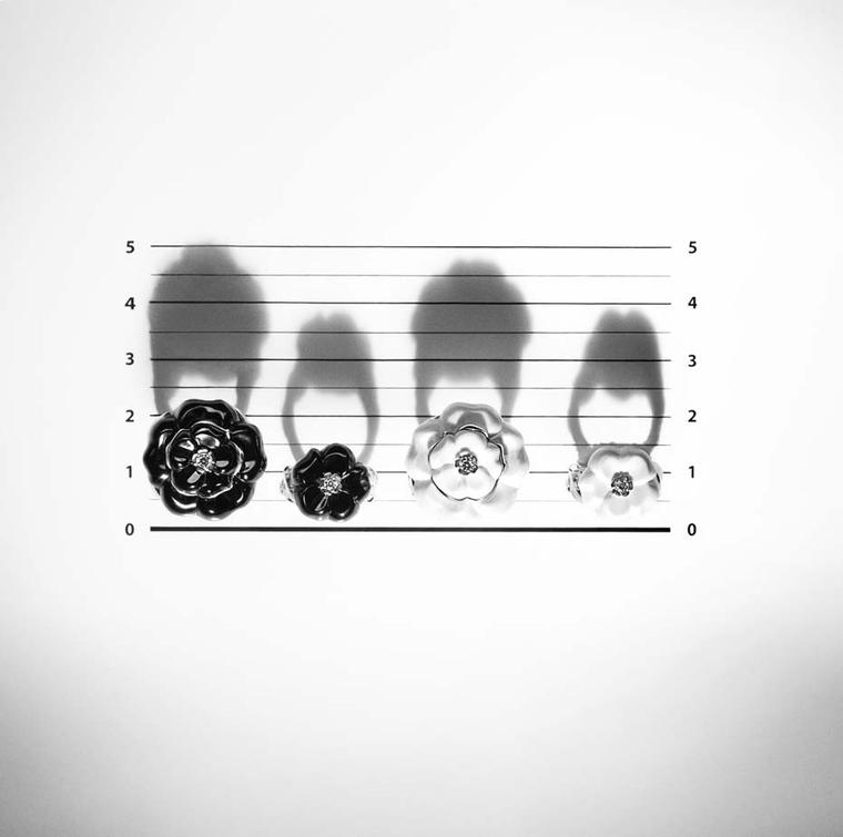 ChanelCamelia001.jpg__760x0_q75_crop-scale_subsampling-2_upscale-false